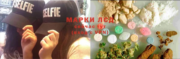 ECSTASY Горняк