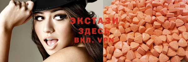 ECSTASY Горняк