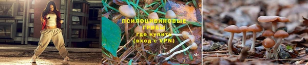 прущий лед Горно-Алтайск
