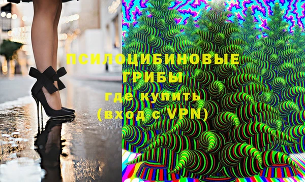 ECSTASY Горняк