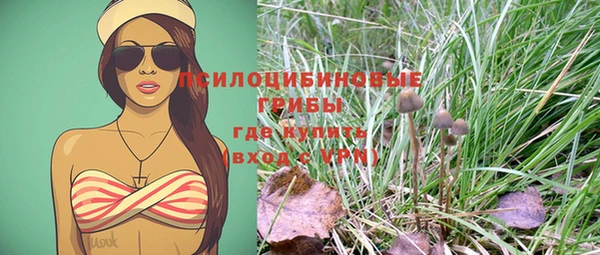 mix Горнозаводск