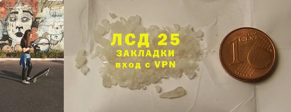 ECSTASY Горняк