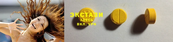 ECSTASY Горняк
