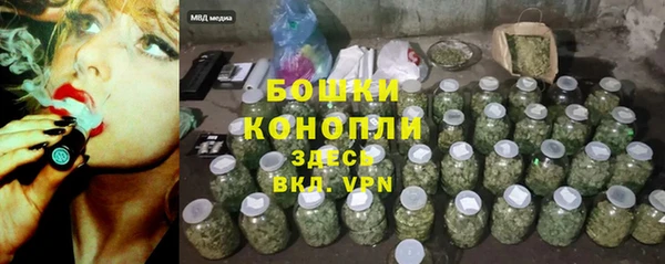 прущий лед Горно-Алтайск