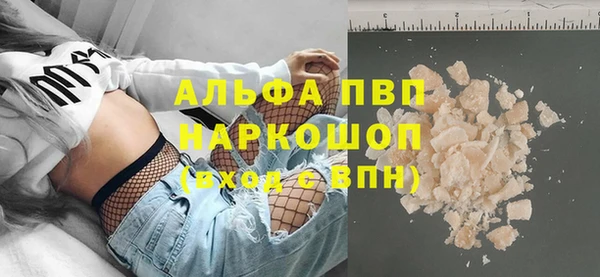 ECSTASY Горняк