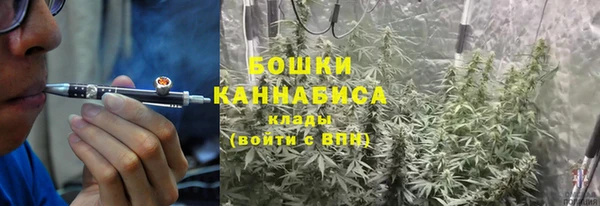 прущий лед Горно-Алтайск